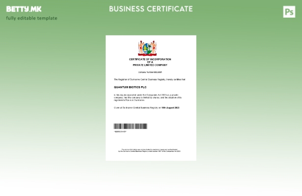 модерен стил Сертификат за регистрација на бизнис во Суринам Шаблон за Word и PD